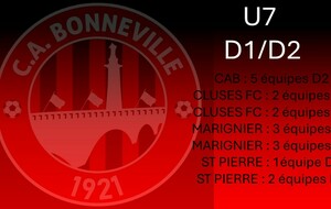 Equipe U7 (5 équipes) D2